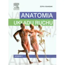 Anatomia uk�adu ruchu