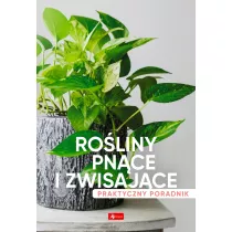 Roliny pnce i zwisajce. Poradnik praktyczny