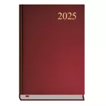 Michalczyk i Prokop Asystent 2025 bordowy