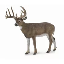 White-Tailed Deer