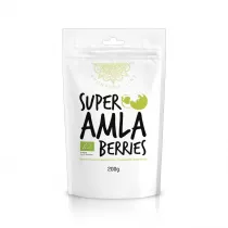 Diet-Food Amla Jagody Proszek 200 g Bio