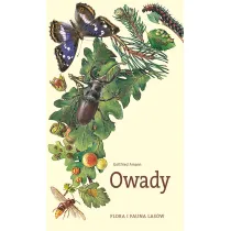 Owady. Flora i fauna las�w