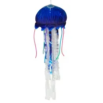 Meduza niebieska Dubi