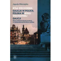 By�a wschodnia Galicja w Polsce, Polska w by�ej wschodniej Galicji. Obraz (wielo)narodowej prowincji w mi�dzywojennej literaturze polskiej