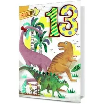 Karnet B6 Urodziny 13