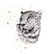 Clear Creations Karnet z�ocony kwadrat CL3819_BL Gepard