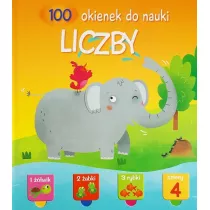 Liczby. 100 okienek do nauki