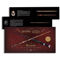 Harry Potter, Rdki z magicznego wiata