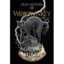 Gniew burzy. Cykl Wojownicy. Mroczna wizja. Tom 6