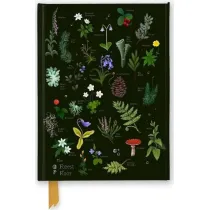 Flame Tree Notatnik A5 linia TW Le�na �ci�ka Anna Stead