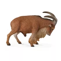 Owca grzywiasta L