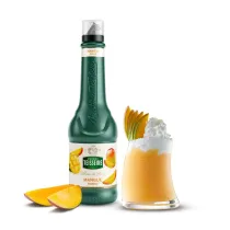 Teisseire Puree Mango 1 l