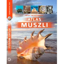 Atlas muszli