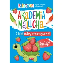 Akademia malucha. 2latek wiczy spostrzegawczo