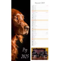 Kalendarz 2025 cienny pasek Psy