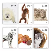 Elisa Zeszyt A5 Baby linia 32 kartki