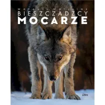 BIESZCZADZCY MOCARZE OK�ADKA Z WILKIEM