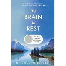 The Brain at Rest wer. angielska