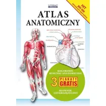 Atlas anatomiczny