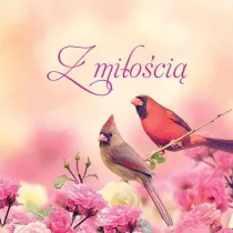Z mi�o�ci�