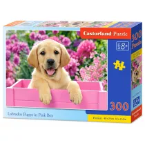Puzzle 300 el. Labrador puppy in pink box Castorland