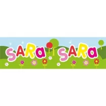 John Hinde Bidon Sara 300 ml