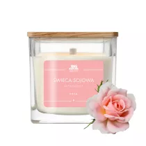 Big Nature wieca sojowa zapachowa Ra 450 g