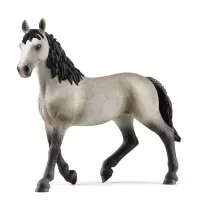 Klacz rasy cheval de selle francais