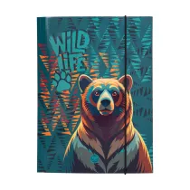 Patio Teczka kartonowa z gumk� A4 Coolpack Bear