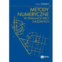 Metody numeryczne w symulacji sieci gazowych