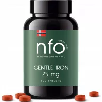 Nfo Gentle Iron Suplement diety 100 tab.