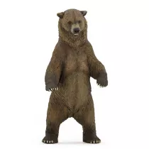 Nied�wied� Grizzly