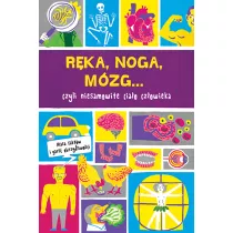 R�ka noga m�zg prawie wszystko o ciele cz�owieka