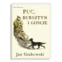 Puc, Bursztyn i gocie