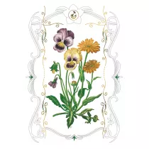 DaVinci Karnet B-BD 502 066 + koperta Bratki 12x18 cm