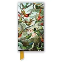 Flame Tree Notatnik Kolibry Ernst Haeckel linia