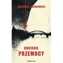 Odcienie przemocy