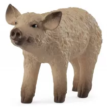 Prosi Mangalica