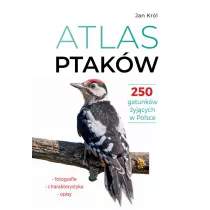 Atlas ptakw