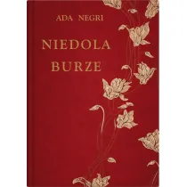 Niedola burze