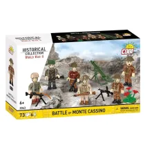 Bitwa pod Monte Cassino