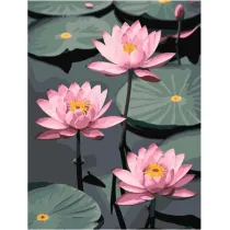 Qbee Malowanie po numerach - Kruche Lotosy 30x40cm