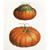 ciereczka kuchenna Dynie