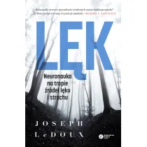 L�k. Neuronauka na tropie �r�de� l�ku i strachu