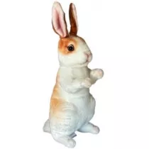 Kr�lik 30cm Dubi