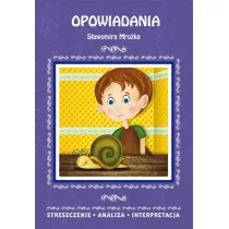 Opowiadania Sawomira Mroka. Streszczenie, analiza, interpretacja