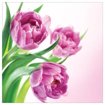 Art Nuvo Karnet kwiatowy FF76 r�owe tulipany