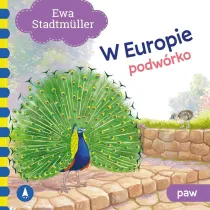 Podw�rko. Paw. W Europie