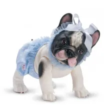 Piesek Lily Buldog Francuski