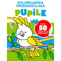 Kolorowanka przedszkolaka. Pupile